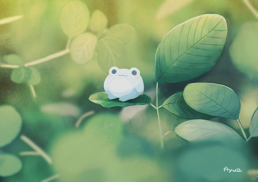 :3 animal_focus ayu_(mog) blurry blurry_background depth_of_field frog green_theme looking_at_viewer no_humans original signature smile