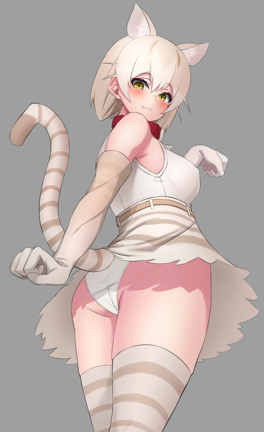 1girl :3 absurdres animal_ear_fluff animal_ears ass bangs bare_shoulders beige_gloves blush breasts cat_(kemono_friends) cat_ears cat_girl cat_tail collar covered_nipples cowboy_shot deku_suke elbow_gloves extra_ears fang fang_out flat_ass gloves grey_background hair_between_eyes high-waist_skirt highres kemono_friends looking_at_viewer looking_back medium_breasts panties paw_pose red_collar simple_background skin_fang skirt solo striped striped_legwear striped_tail tail thigh-highs underwear white_panties yellow_eyes