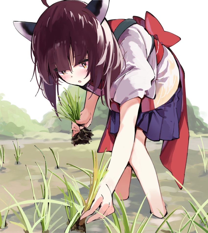 1girl :o ahoge blue_skirt blush brown_eyes brown_hair commentary_request day headgear highres holding japanese_clothes kimono leaning_forward outdoors parted_lips pleated_skirt ramu_(taka1995) rice_planting short_sleeves skirt solo standing touhoku_kiritan twintails voiceroid white_kimono