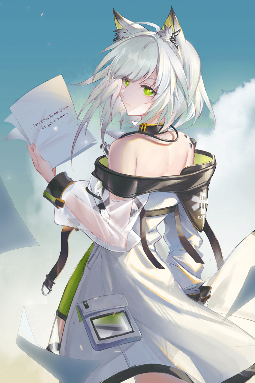 1girl animal_ear_fluff arknights bangs bare_shoulders black_choker blue_sky choker cowboy_shot day dress from_behind green_eyes highres holding holding_paper kal'tsit_(arknights) long_sleeves looking_at_viewer looking_back luren_max lynx_ears off-shoulder_dress off_shoulder oripathy_lesion_(arknights) outdoors paper see-through_sleeves short_hair silver_hair sky solo standing white_dress