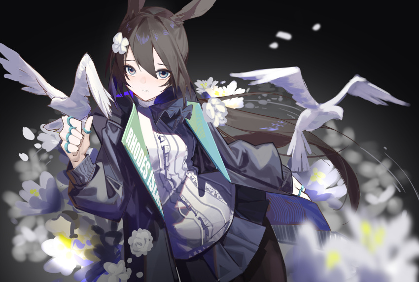 1girl absurdres amiya_(arknights) animal animal_ears arknights bangs bird black_jacket black_legwear black_skirt blue_eyes breasts brown_hair center_frills commentary_request eyebrows_visible_through_hair flower frills hair_between_eyes hair_flower hair_ornament hand_up highres jacket long_hair long_sleeves looking_at_viewer open_clothes open_jacket pantyhose parted_lips pleated_skirt puffy_long_sleeves puffy_sleeves qtian rabbit_ears shirt skirt small_breasts solo very_long_hair white_flower white_shirt