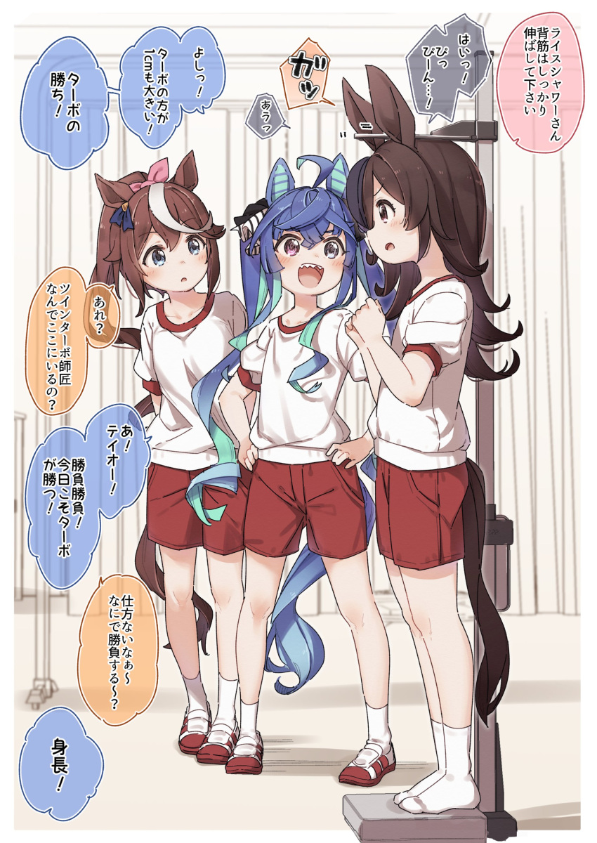 3girls :d :o absurdres ahoge animal_ears bangs black_headwear blue_eyes blue_flower blue_hair blue_rose blush breasts brown_hair commentary_request eyebrows_visible_through_hair flower gym_shirt gym_shorts gym_uniform hair_between_eyes hair_over_one_eye hair_ribbon hands_on_hips hat hat_flower heterochromia highres horse_ears horse_girl horse_tail long_hair multicolored_hair multiple_girls no_shoes open_mouth parted_lips pink_ribbon ponytail profile puffy_short_sleeves puffy_sleeves red_shorts ribbon rice_shower_(umamusume) rose sharp_teeth shirt shoes short_shorts short_sleeves shorts small_breasts smile socks standing streaked_hair tail teeth tilted_headwear tokai_teio_(umamusume) translation_request twin_turbo_(umamusume) twintails umamusume uwabaki v-shaped_eyebrows very_long_hair violet_eyes white_footwear white_hair white_legwear white_shirt yukie_(kusaka_shi)