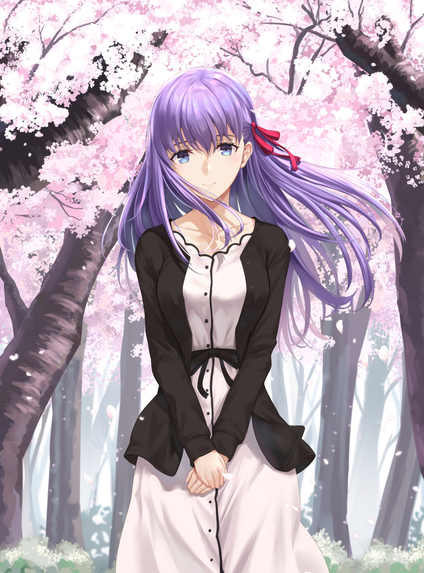 1girl absurdres black_jacket blue_eyes breasts cherry_blossoms dress fate/stay_night fate_(series) hair_ribbon heaven's_feel highres jacket large_breasts long_hair long_sleeves matou_sakura open_clothes open_jacket outdoors purple_hair red_ribbon ribbon smile solo tooku0 tree white_dress