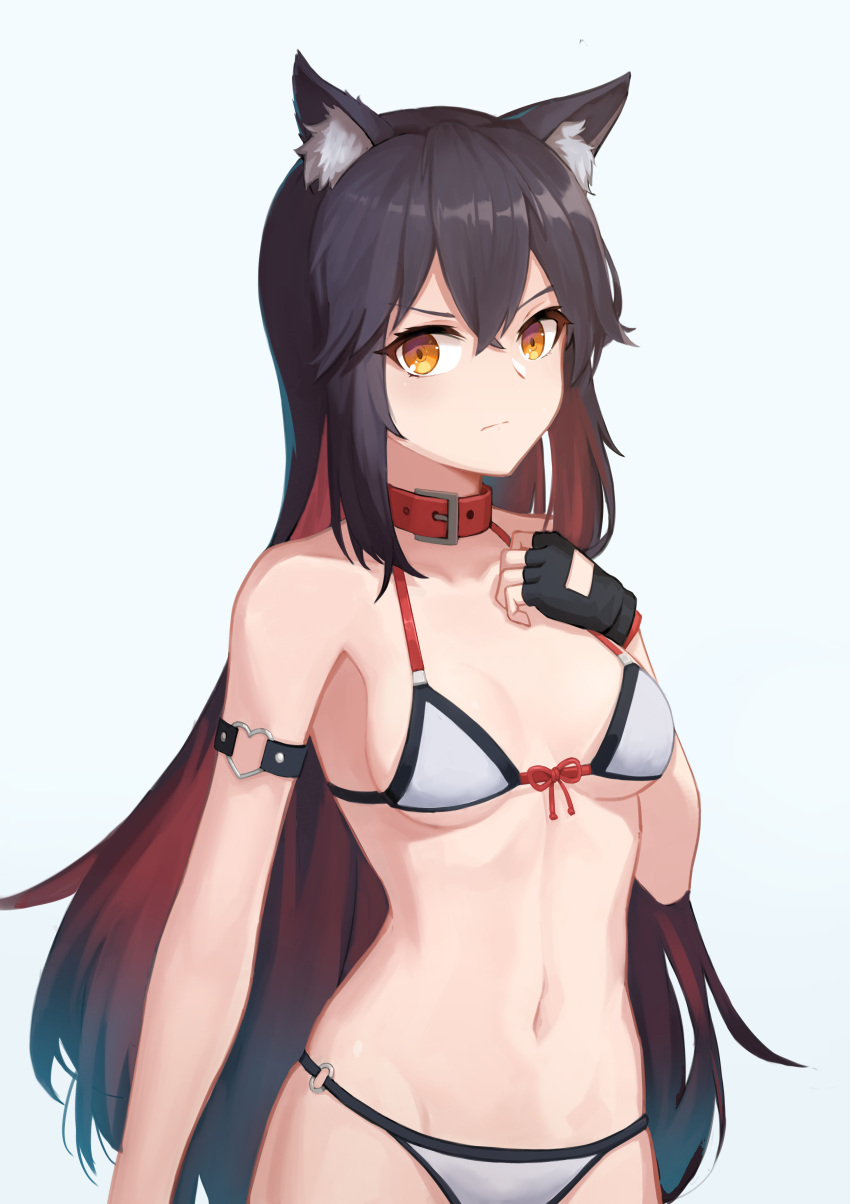 1girl absurdres animal_ear_fluff animal_ears arknights arm_strap bangs bikini black_gloves black_hair breasts breasts_apart buckle closed_mouth collar collarbone cowboy_shot fingerless_gloves front-tie_bikini front-tie_top gloves gradient_hair hand_on_own_chest heart_ring highres long_hair looking_at_viewer mausratten multicolored_hair navel o-ring o-ring_bottom orange_eyes red_ribbon redhead ribbon serious simple_background small_breasts solo stomach swimsuit texas_(arknights) under_boob v-shaped_eyebrows very_long_hair white_background white_bikini wolf_ears