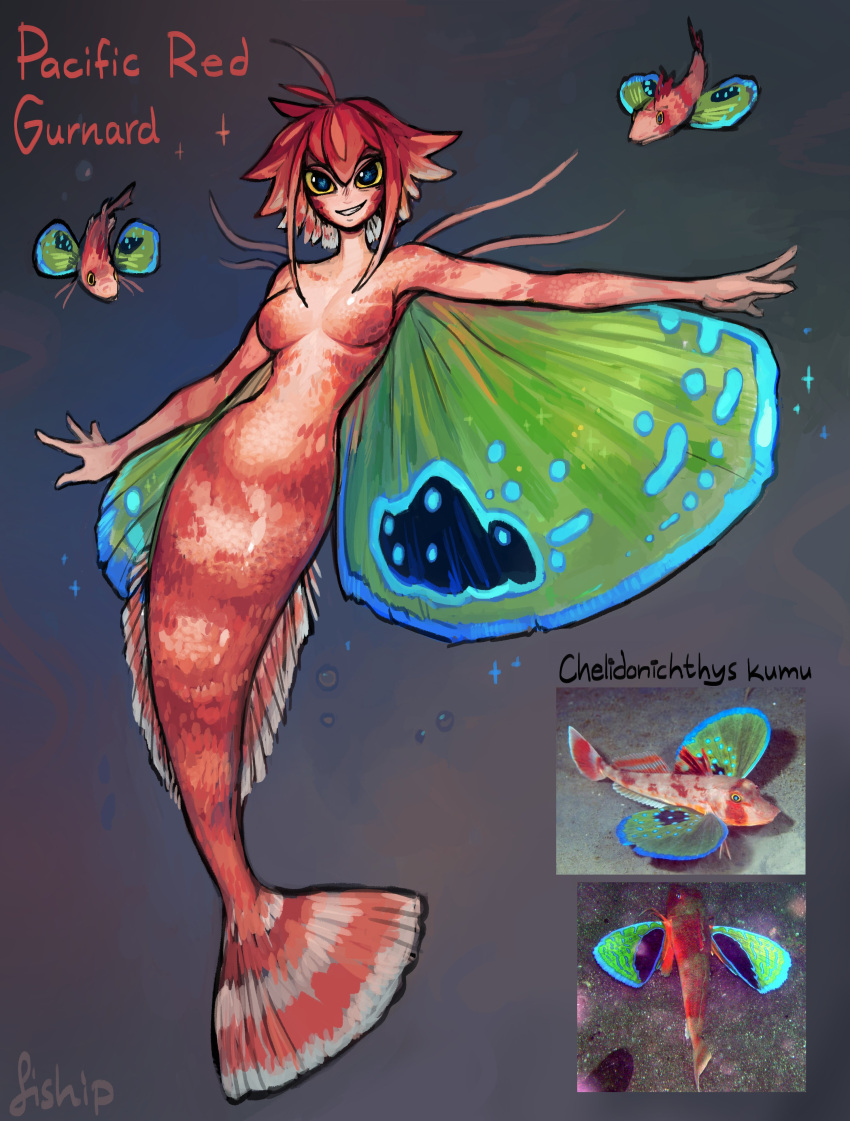 1girl absurdres blue_eyes breasts colored_sclera creature_and_personification english_commentary fins fish full_body grin highres matilda_fiship mermaid monster_girl nude original pacific_red_gurnard personification photo-referenced redhead scales short_hair smile solo wings yellow_sclera