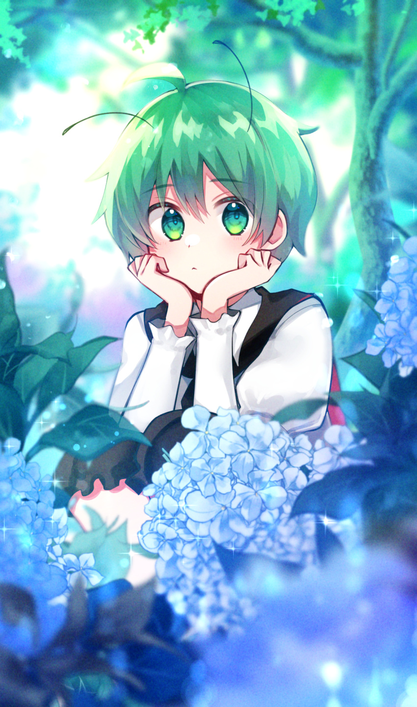 1girl ahoge androgynous antennae bangs black_cape black_shorts blue_flower blush cape closed_mouth collared_shirt commentary_request day eyebrows_visible_through_hair feet_out_of_frame flower green_eyes green_hair hair_between_eyes hands_on_own_cheeks hands_on_own_face highres hydrangea katsuobushi_(eba_games) long_sleeves looking_at_viewer outdoors red_cape shiny shiny_hair shirt short_hair shorts solo sparkle squatting touhou tree two-sided_cape two-sided_fabric white_shirt wriggle_nightbug