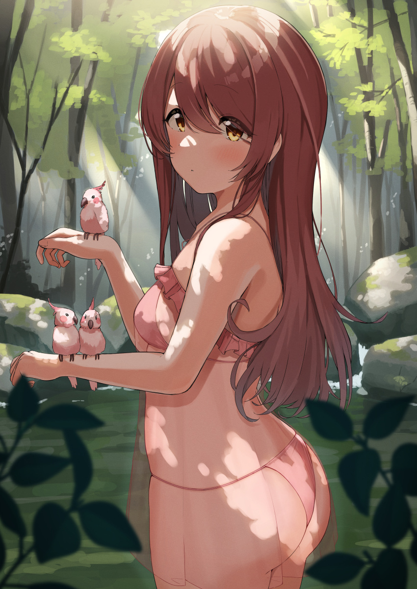 1girl absurdres bikini bird brown_hair commentary_request cowboy_shot day forest frilled_bikini frills highres huge_filesize idolmaster idolmaster_shiny_colors long_hair looking_at_viewer nature oosaki_tenka outdoors pink_bikini rock swimsuit wanimaru yellow_eyes