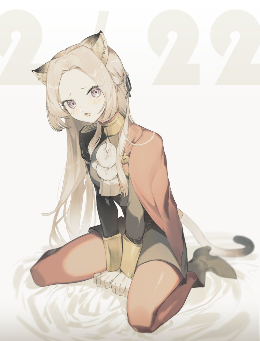 1girl animal_ears blush cape cat_day cat_ears cat_girl cat_tail edelgard_von_hresvelg fire_emblem fire_emblem:_three_houses garreg_mach_monastery_uniform gloves hair_ornament hair_ribbon highres kemonomimi_mode long_hair long_sleeves looking_at_viewer meunhongcha pantyhose paw_pose paw_print paw_print_background red_cape ribbon simple_background solo tail uniform violet_eyes white_hair