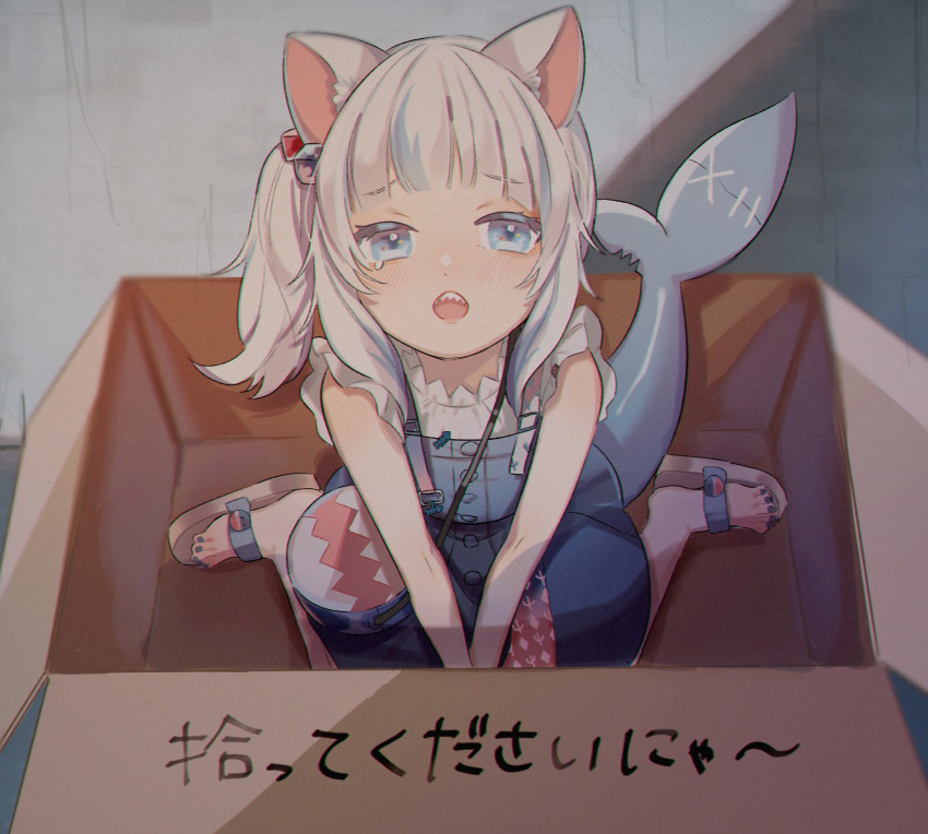 1girl 852_box :o animal_ears bag bite_mark blue_eyes blue_hair blue_nails box cardboard_box cat_ears crying crying_with_eyes_open fish_tail gawr_gura hair_ornament handbag highres hololive hololive_english in_box in_container looking_at_viewer multicolored_hair nail_polish official_alternate_costume shark_tail sharp_teeth shoulder_bag side_ponytail sitting solo stitches streaked_hair tail tears teeth toenail_polish translation_request v_arms wariza white_hair