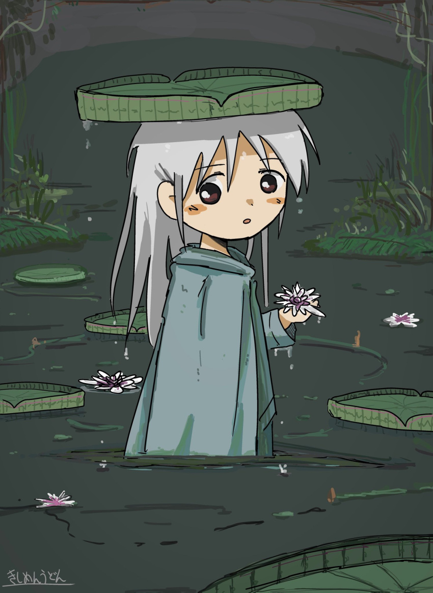 1girl brown_eyes coat flower grey_hair highres holding holding_flower kishimen_udn lily_(flower) lily_pad long_hair looking_back original parted_lips partially_submerged pond signature solo standing