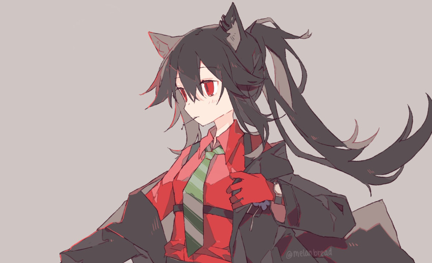1girl adjusting_clothes animal_ears arknights artist_name bangs black_hair black_jacket blush breasts brown_eyes collared_shirt commentary ear_piercing english_commentary eyebrows_visible_through_hair gloves green_neckwear grey_background hair_between_eyes highres jacket long_hair long_sleeves looking_away melanbread mouth_hold necktie off_shoulder parted_lips piercing ponytail red_gloves red_shirt shirt small_breasts texas_(arknights) texas_(willpower)_(arknights) twitter_username upper_body watch watch weapon wolf_ears