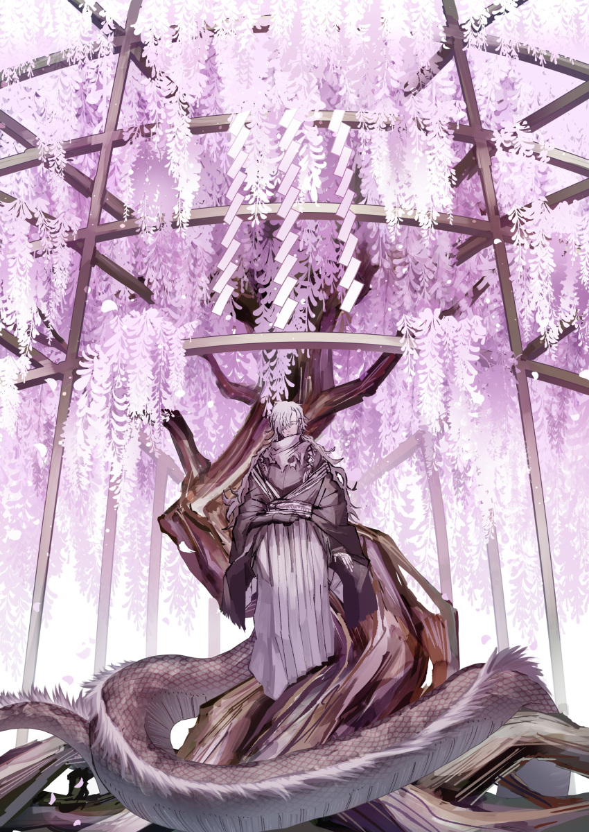 1boy absurdres commentary_request dragon eastern_dragon facing_viewer fence fisheye flower grey_hair grey_hakama hair_over_one_eye hakama highres japanese_clothes long_hair long_sleeves male_focus original pensive pink_theme scenery shide sketch solo standing tree white_sleeves wide_shot wisteria wooden_fence yagate149