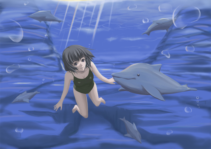 bubble bubbles cleavage dolphin dolphins freediving one-piece one-piece_swimsuit original purple_eyes short_hair sutein swimsuit underwater violet_eyes water
