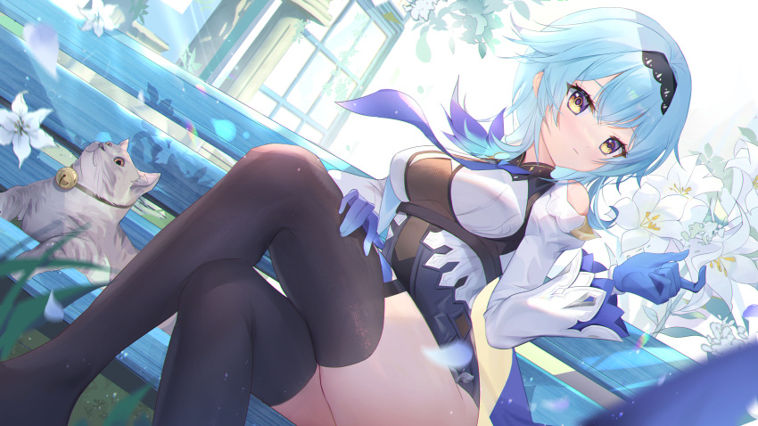 1girl absurdres animal bangs bench black_legwear blue_gloves blue_hair blue_neckwear blush breasts cat clothing_cutout commentary_request crossed_legs day eula_(genshin_impact) eyebrows_visible_through_hair feet_out_of_frame flower genshin_impact gloves gradient_eyes hairband hand_on_own_thigh highres leotard long_hair long_sleeves looking_at_viewer medium_breasts multicolored multicolored_eyes necktie on_bench outdoors shoulder_cutout sitting solo somna thigh-highs violet_eyes white_flower yellow_eyes