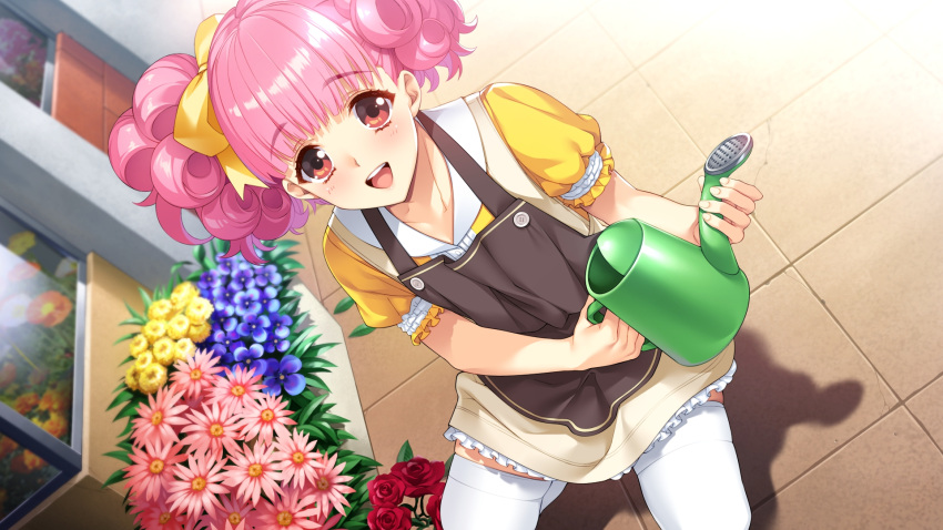 1girl :d apron bangs blunt_bangs bow brown_apron collarbone day doukyuusei dutch_angle eyebrows_visible_through_hair flower frilled_skirt frills game_cg hair_bow highres holding kneeling long_hair looking_at_viewer miniskirt official_art open_mouth outdoors pink_flower pink_hair purple_flower red_eyes red_flower red_rose rose shiny shiny_hair shirt short_sleeves skirt smile solo sumeragi_kohaku suzuhi_miho thigh-highs twintails white_legwear yellow_bow yellow_flower yellow_shirt yellow_skirt