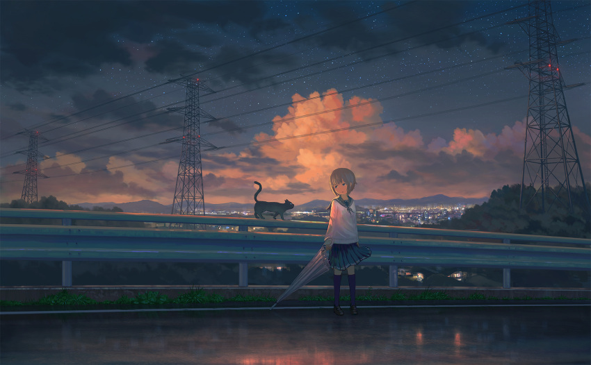 1girl bangs black_eyes black_footwear black_ribbon blue_legwear blue_sailor_collar blue_skirt blue_sky blunt_bangs brown_hair cat city city_lights clouds commentary_request evening feel_(nasitaki) guard_rail highres holding holding_umbrella loafers long_sleeves looking_at_animal neck_ribbon original outdoors parted_lips pleated_skirt power_lines ribbon road sailor_collar scenery school_uniform shoes short_hair skirt sky solo street transmission_tower transparent transparent_umbrella umbrella wide_shot wind
