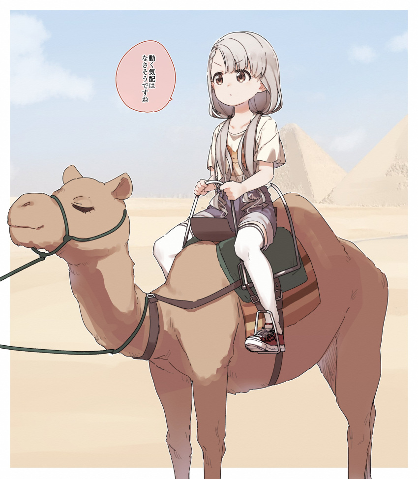 1girl absurdres bangs blue_shorts braid braided_bangs brown_eyes brown_shirt camel closed_eyes closed_mouth commentary desert eyebrows_visible_through_hair grey_hair hair_over_shoulder highres hisakawa_nagi idolmaster idolmaster_cinderella_girls idolmaster_cinderella_girls_starlight_stage long_hair low_twintails pyramid red_footwear riding sand shirt shoes short_shorts short_sleeves shorts sitting solo thigh-highs translated twintails v-shaped_eyebrows very_long_hair white_legwear yukie_(kusaka_shi)