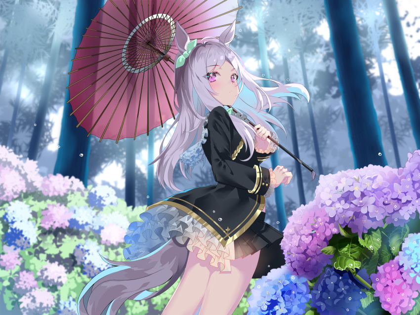 1girl ahoge animal_ears bangs black_jacket blue_flower blush commentary_request ear_ribbon eyebrows_visible_through_hair flower forest frilled_jacket green_ribbon highres holding holding_umbrella horse_ears horse_girl horse_tail hydrangea jacket long_hair long_sleeves looking_at_viewer mejiro_mcqueen_(umamusume) nature oil-paper_umbrella outdoors purple_flower purple_hair ribbon sho_(runatic_moon) solo standing tail umamusume umbrella violet_eyes