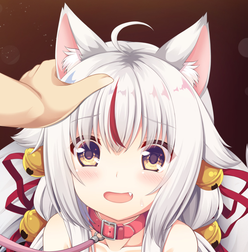 1girl ahoge animal_ear_fluff animal_ears bangs bell blush brown_eyes collar collarbone commentary_request eyebrows_visible_through_hair fang fox_ears hair_bell hair_between_eyes hair_ornament hair_ribbon hand_on_another's_head highres indie_virtual_youtuber jingle_bell kamiko_kana leash multicolored_hair nude open_mouth out-of-frame_censoring out_of_frame red_collar red_ribbon redhead ribbon sakuraba_hikaru_(loveindog) silver_hair solo_focus streaked_hair sweat upper_body virtual_youtuber