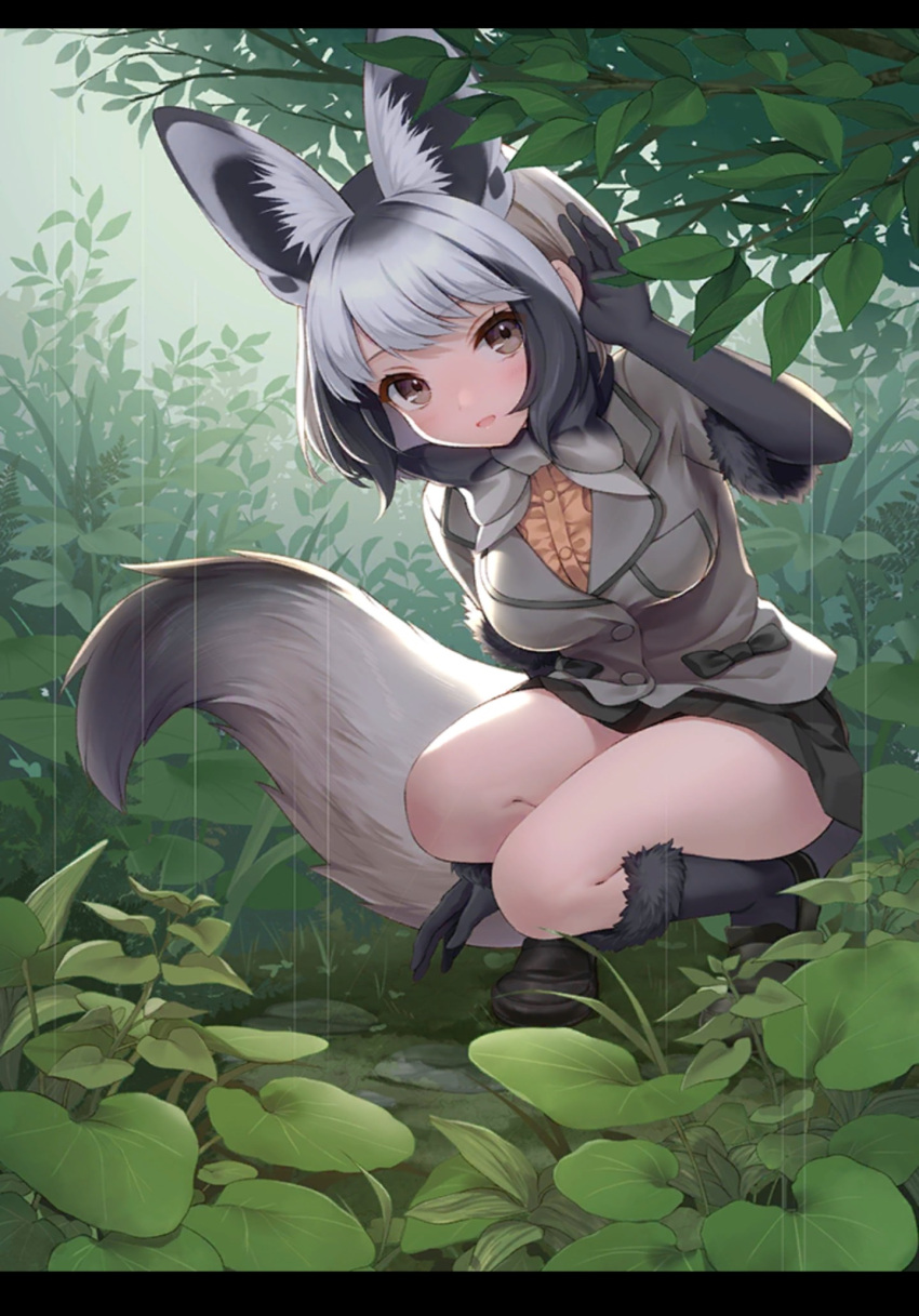 1girl animal_ear_fluff animal_ears artist_request bat-eared_fox_(kemono_friends) black_gloves blush breasts brown_eyes extra_ears fox_ears fox_tail full_body gloves grey_hair highres kemono_friends large_breasts letterboxed light_smile looking_at_viewer multicolored_hair open_mouth outdoors rain short_hair silver_hair solo squatting streaked_hair tail