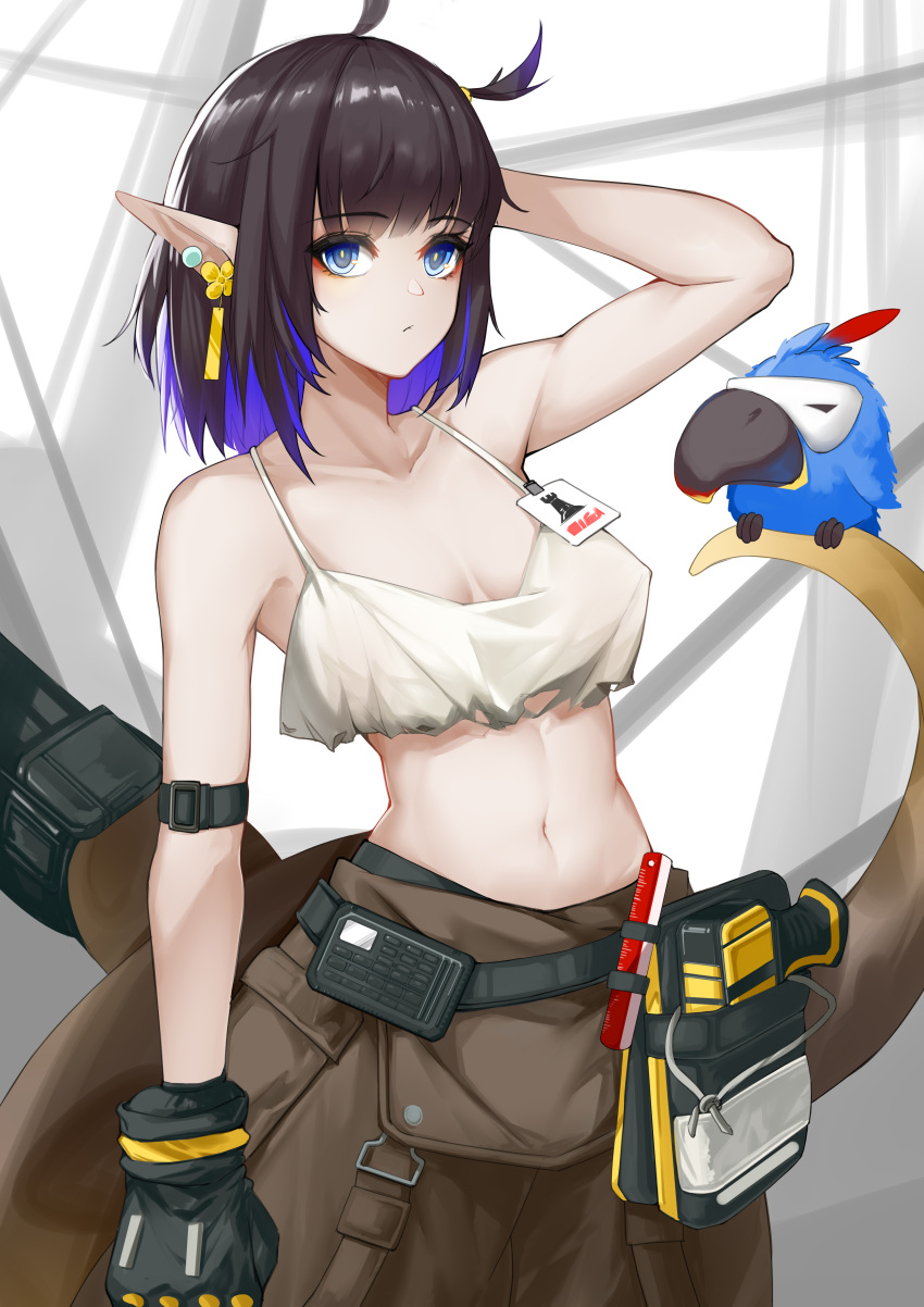 1girl absurdres arknights arm_up armband bangs bare_arms bare_shoulders bird black_gloves black_hair blue_eyes blue_hair camisole chinese_commentary commentary_request cowboy_shot crop_top eunectes_(arknights) eyebrows_visible_through_hair gloves grey_pants high_priest_(arknights) highres looking_at_viewer midriff multicolored_hair navel pants partial_commentary pointy_ears short_hair snake_tail solo spaghetti_strap standing stomach sue_yanagi-san tail