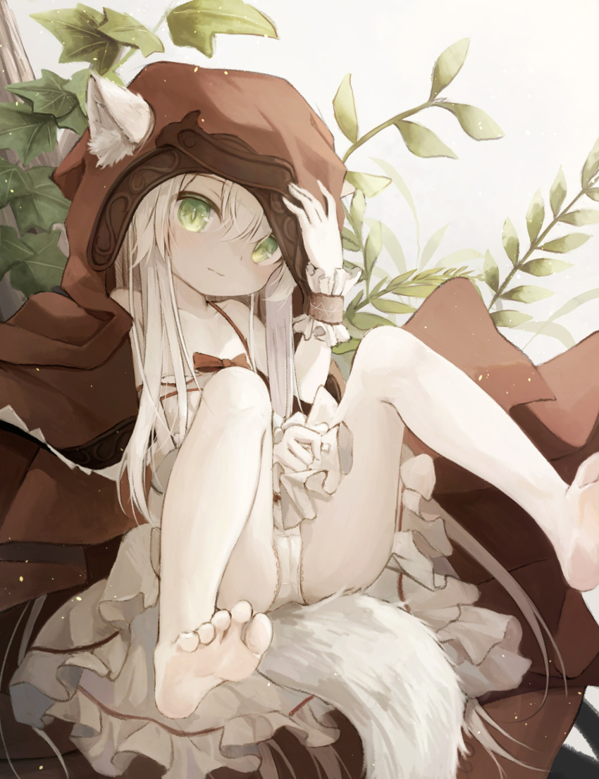 1girl animal_ear_fluff animal_ears barefoot blush cloak commentary_request dress feet frilled_dress frills green_eyes highres hood hood_up hooded_cloak long_hair looking_at_viewer original panties red_cloak sitting soles solo tail toes underwear utatanecocoa white_dress white_hair white_panties wrist_cuffs
