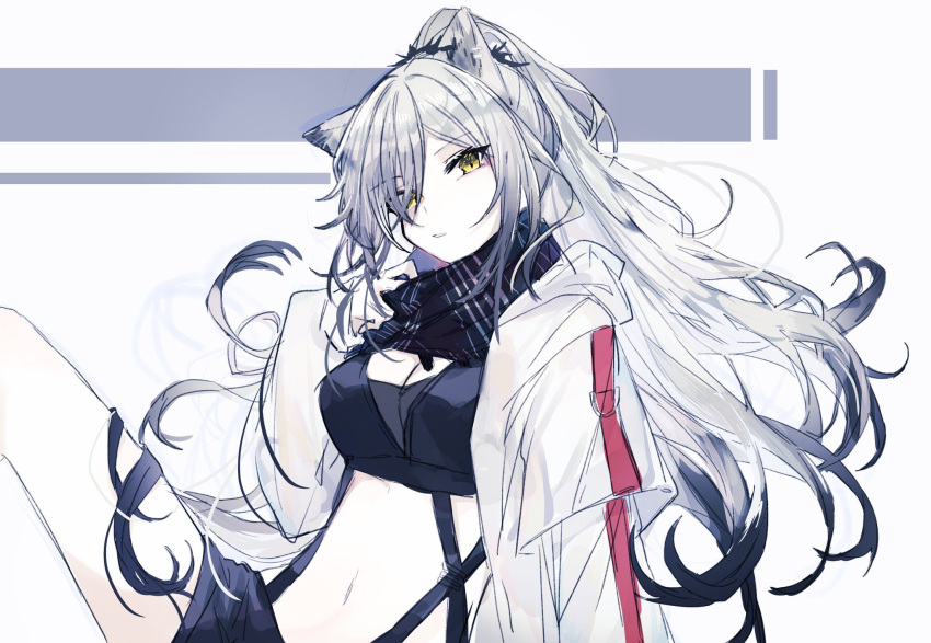 1girl animal_ears arknights black_scarf black_shirt black_shorts cat_ears commentary crop_top grey_hair highres jacket knees_up long_hair looking_at_viewer midriff navel one-hour_drawing_challenge open_clothes open_jacket ponytail scarf schwarz_(arknights) shirt short_shorts shorts sitting solo strap uawa white_jacket yellow_eyes