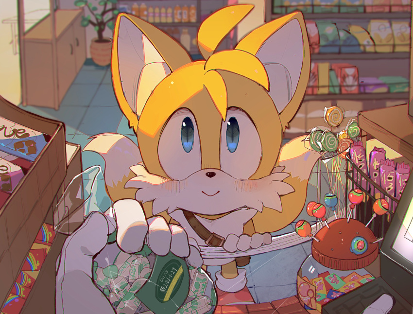 1boy animal_ears animal_nose blue_eyes blush c52278 candy candy_store closed_mouth dessert food fox_boy fox_ears fox_tail furry gloves highres looking_at_viewer male_focus multiple_tails shop smile solo_focus sonic_(series) standing tail tails_(sonic) two_tails white_gloves