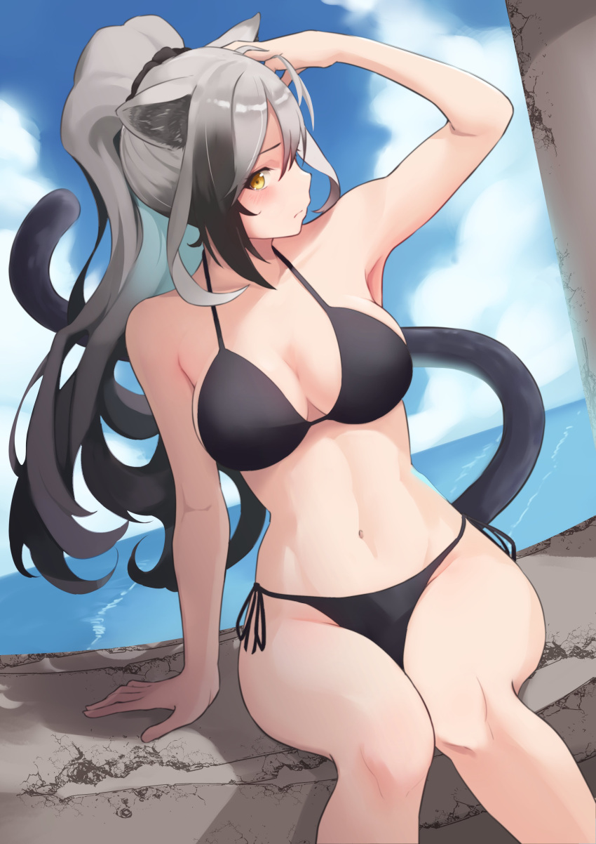 1girl absurdres animal_ears arknights bangs bikini black_bikini black_hair blue_sky blush breasts cat_ears cat_tail closed_mouth clouds cloudy_sky commentary_request day frown gradient gradient_background grey_hair halterneck hand_in_hair highres horizon large_breasts long_hair looking_at_viewer navel ocean outdoors ponytail rin_mokkomoko schwarz_(arknights) short_hair_with_long_locks side-tie_bikini sitting sky solo swimsuit tail yellow_eyes