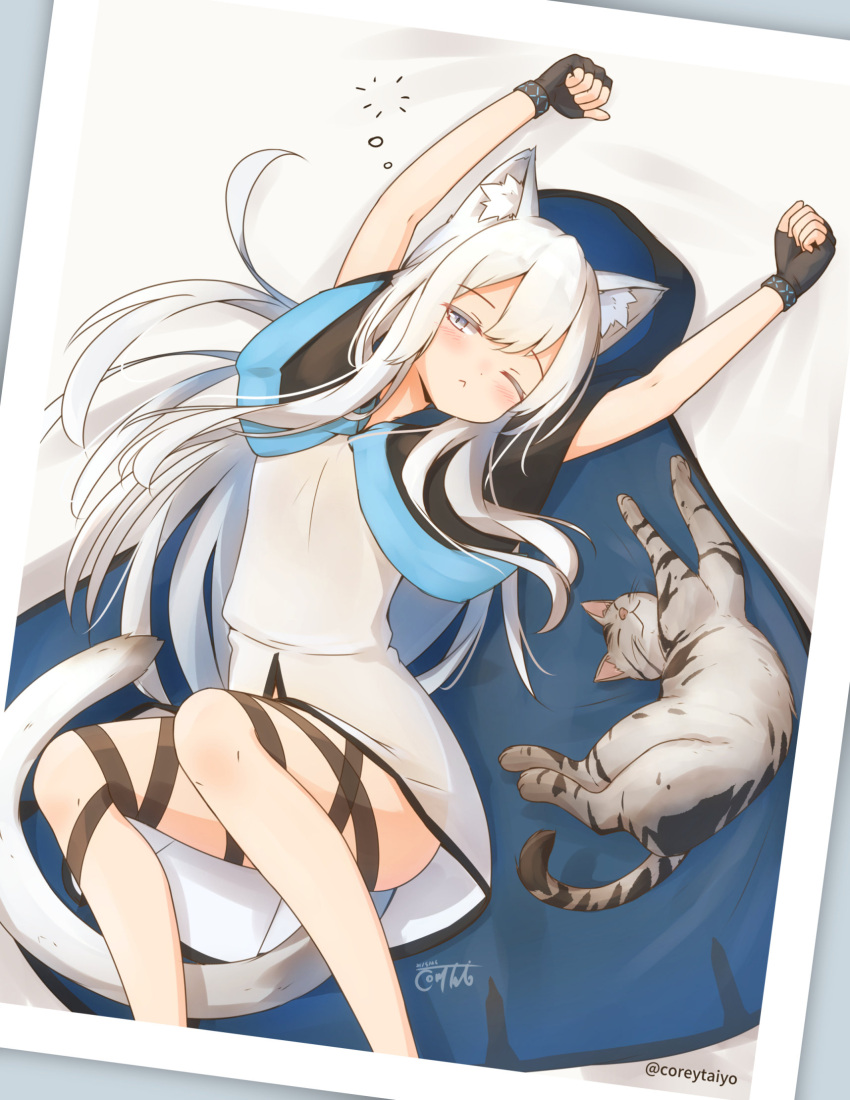 1girl ;&lt; animal animal_ear_fluff animal_ears arknights arms_up bangs black_cloak black_gloves blush cat cat_ears cat_girl cat_tail cloak closed_mouth commentary_request coreytaiyo dated dress eyebrows_visible_through_hair feet_out_of_frame fingerless_gloves gloves grey_eyes hair_between_eyes half-closed_eye highres hood hood_up hooded_cloak long_hair one_eye_closed rosmontis_(arknights) signature solo stretch tail twitter_username very_long_hair white_dress white_hair