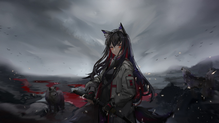 1girl animal_ear_fluff animal_ears arknights bird black_hair black_shirt blood brown_eyes chinese_commentary coat commentary_request fur-trimmed_hood fur-trimmed_sleeves fur_trim highres holding holding_sword holding_weapon hood looking_at_viewer multicolored_hair official_alternate_costume open_clothes open_coat outdoors redhead sheath sheathed shirt solo sword texas_(arknights) texas_(winter_messenger)_(arknights) two-tone_hair upper_body weapon white_coat winter_clothes winter_coat wolf wolf_ears yuuki_mix