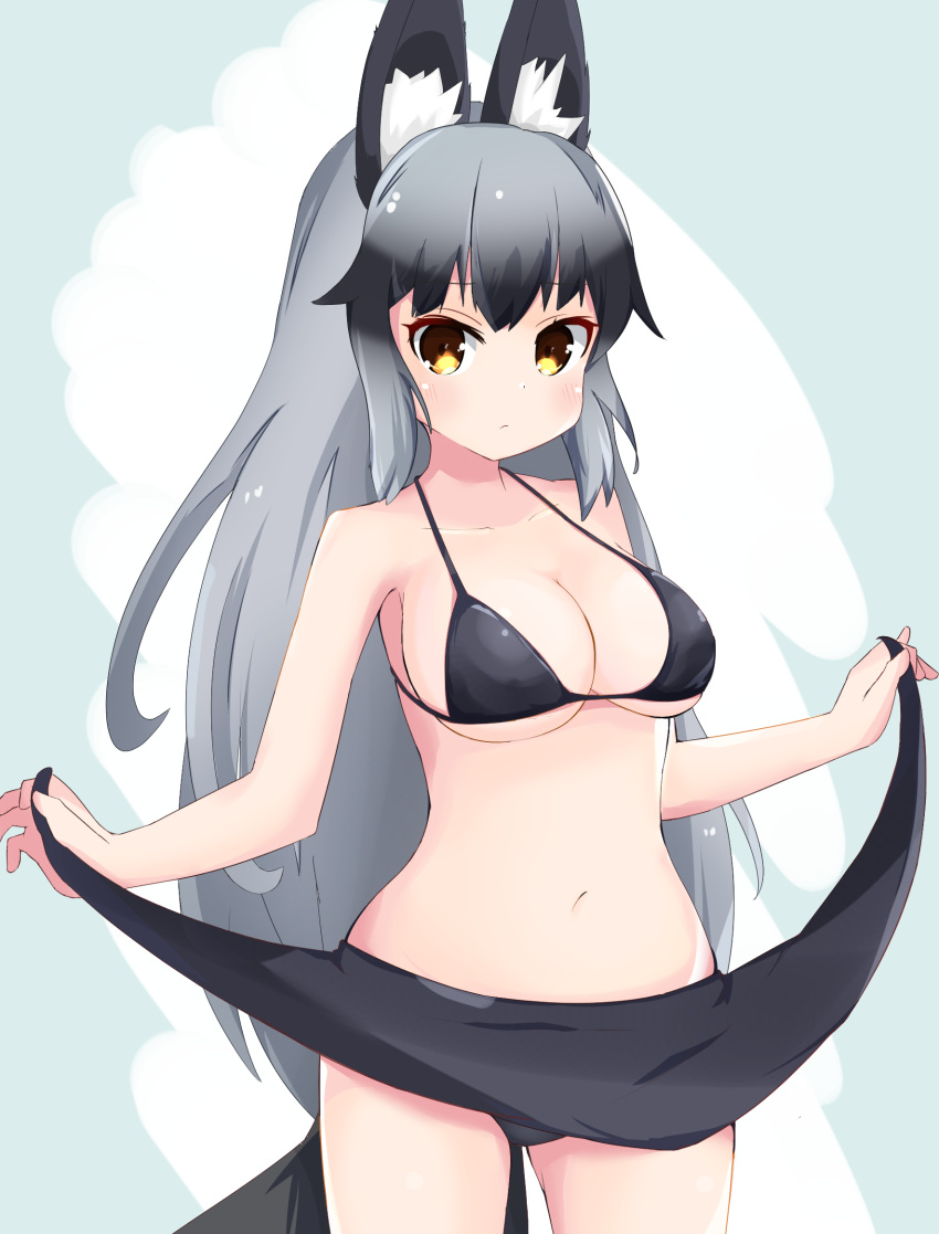 1girl :/ animal_ear_fluff animal_ears berusa_(berutoo) bikini blush breasts clothes_lift fox_ears fox_tail grey_background grey_hair highres kemono_friends large_breasts lifted_by_self long_hair looking_at_viewer navel orange_eyes silver_fox_(kemono_friends) simple_background skirt skirt_lift solo swimsuit tail very_long_hair
