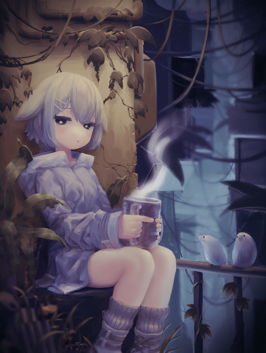 1girl :o absurdres animal animal_ears bangs bird black_eyes blurry blurry_background bright_pupils chair commentary cracked_wall cup darandy dead_plants hair_ornament hairclip highres holding holding_cup jacket leaf long_sleeves looking_at_viewer loose_socks mug original parted_lips railing ribbed_legwear short_hair sideways_glance sitting steam white_bird white_footwear white_hair white_jacket white_legwear white_pupils