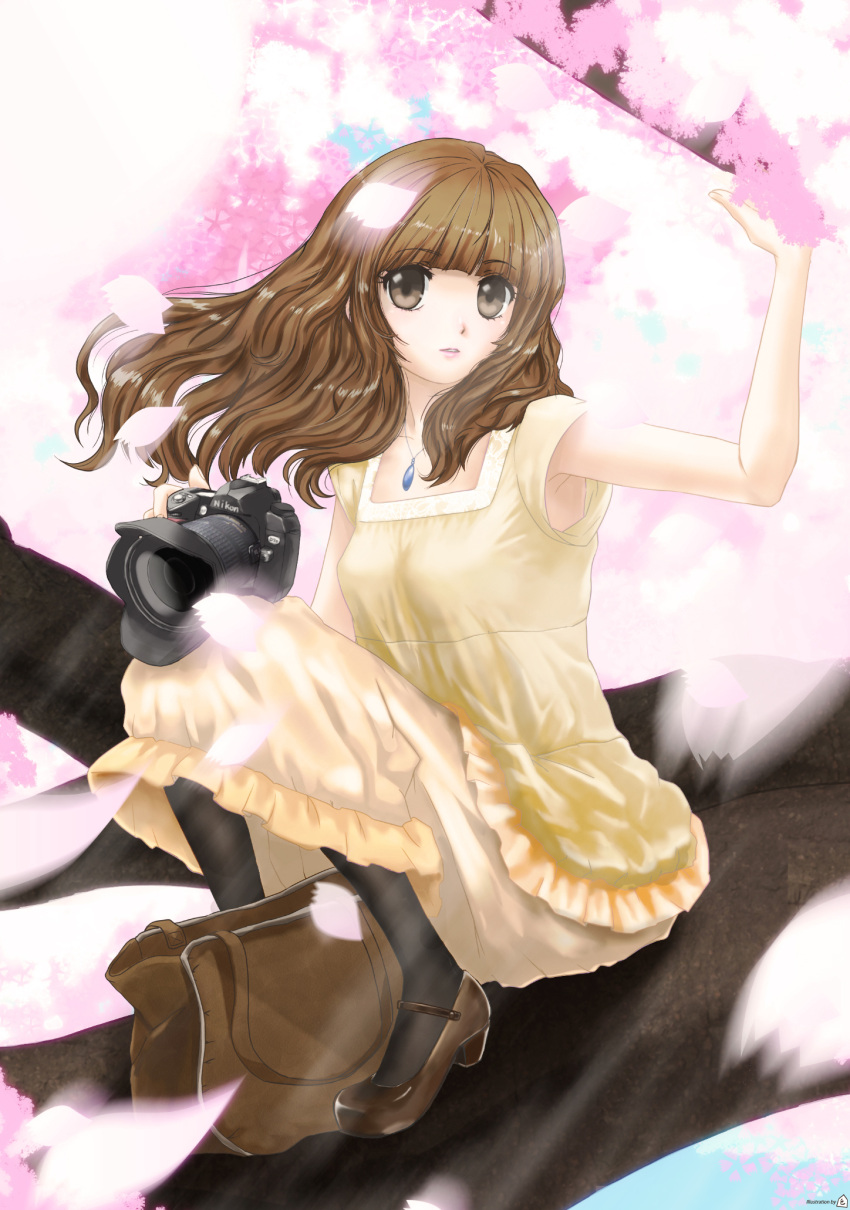 brown_eyes brown_hair camera cherry_blossoms dress high_heels highres in_tree jewelry long_hair necklace original pantyhose shoes sitting sitting_in_tree solo tomizawa_jun tree tree_sitting