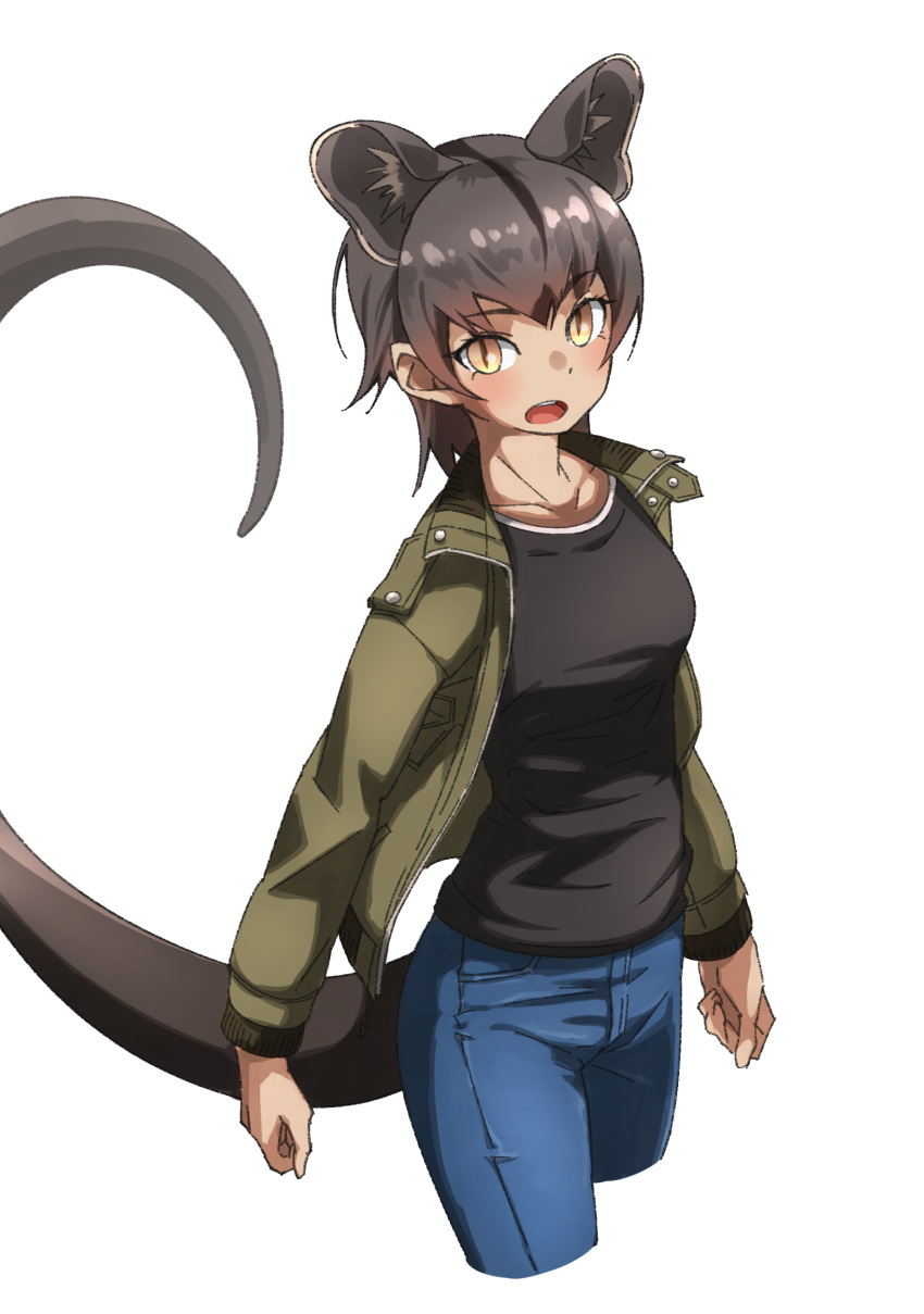 1girl absurdres alternate_costume black_shirt blush brown_hair casual commentary_request cowboy_shot denim eyebrows_visible_through_hair fossa_(kemono_friends) fossa_ears fossa_tail green_jacket highres jacket jeans kemono_friends long_sleeves looking_at_viewer open_clothes open_jacket pants shirt short_hair solo tail tanabe_(fueisei) yellow_eyes