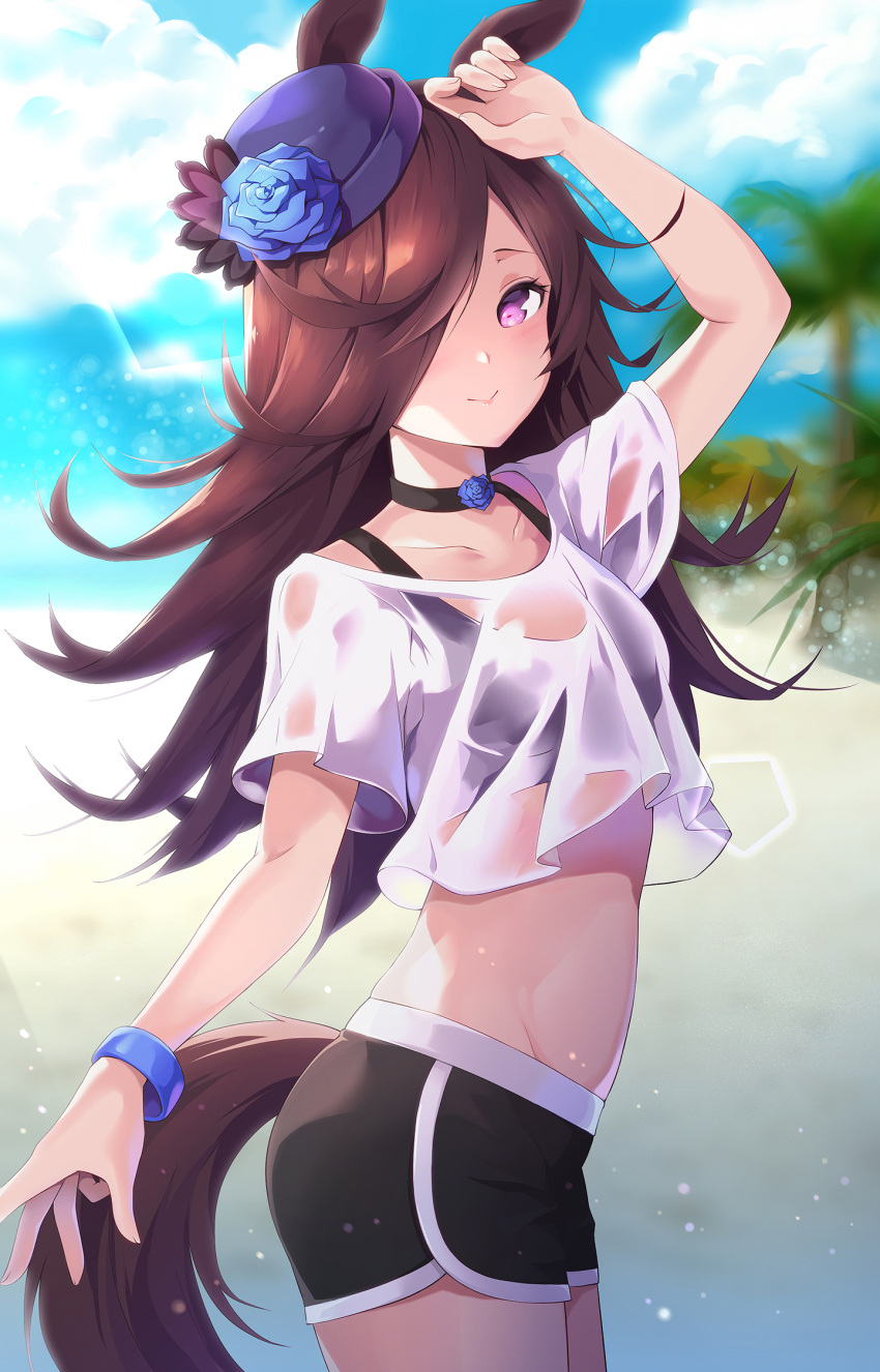1girl :&gt; animal_ears arm_up bangs black_choker black_shorts bloody0rabby blue_flower blue_headwear blue_rose blurry blurry_background blush breasts brown_hair choker closed_mouth collarbone commentary crop_top day depth_of_field flower groin hair_over_one_eye hat hat_flower highres horse_ears horse_girl horse_tail long_hair looking_at_viewer midriff outdoors rice_shower_(umamusume) rose see-through shirt short_shorts short_sleeves shorts small_breasts smile solo tail tilted_headwear umamusume violet_eyes white_shirt