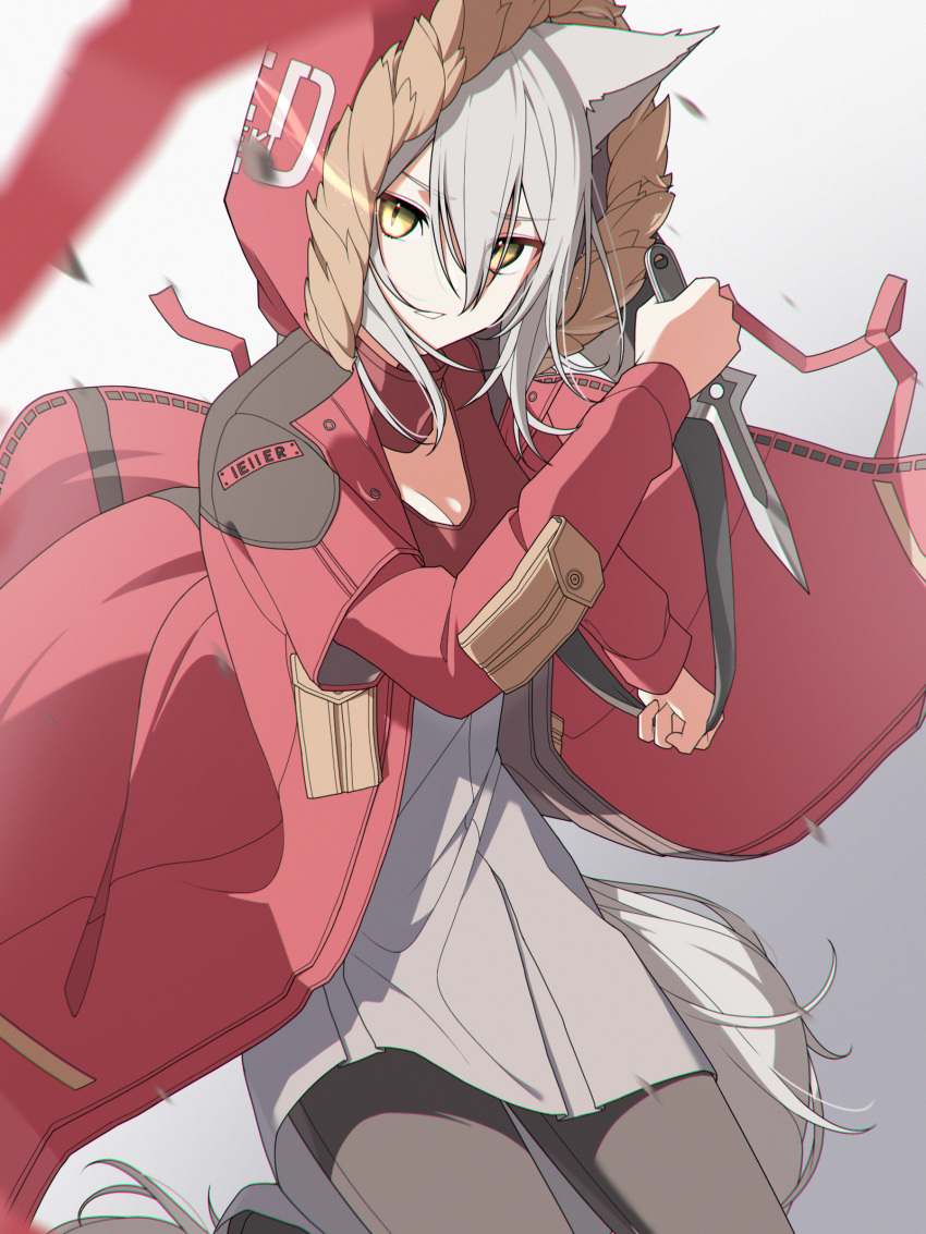 1girl absurdres animal_ears arknights black_legwear commentary cowboy_shot dagger floating_clothes fur-trimmed_hood fur_trim grey_background grey_hair grey_shirt hair_between_eyes highres holding holding_dagger holding_weapon hood hood_up jacket knife looking_at_viewer open_clothes open_jacket projekt_red_(arknights) red_jacket shirt shoujo_l solo symbol_commentary tail weapon wolf_ears wolf_girl wolf_tail
