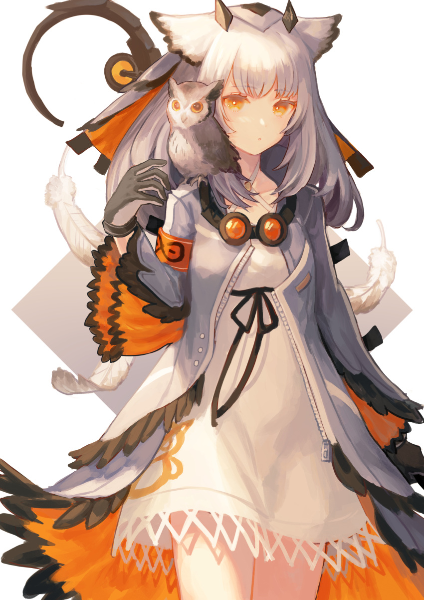 1girl animal animal_on_shoulder arknights armband bird blue_jacket cowboy_shot dress feathers goggles goggles_around_neck highres jacket long_hair looking_at_viewer nomuraumu open_clothes open_jacket owl owl_ears ptilopsis_(arknights) rhine_lab_logo solo staff weapon weapon_on_back white_background white_dress white_hair yellow_eyes