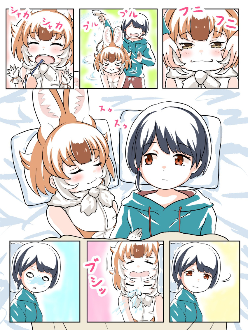 2girls animal_ears brushing_another's_teeth brushing_teeth captain_(kemono_friends) cheek_squash closed_eyes commentary dhole_(kemono_friends) dog_ears dog_girl dog_tail esuyukichin highres holding holding_toothbrush hood hoodie in_the_face kemono_friends kemono_friends_3 looking_at_another multiple_girls open_mouth pillow red_eyes sneezing snot tail toothbrush toothbrush_in_mouth washing_hair yuri
