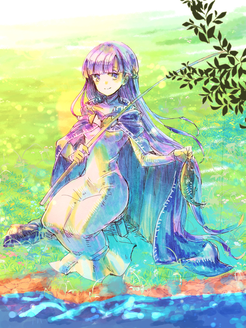 1girl absurdly_long_hair absurdres braid breasts cape commission commissioner_upload dress fire_emblem fire_emblem:_the_binding_blade fish fishing fishing_rod french_braid highres holding lake long_hair medium_breasts miyama_(lacrima01) nature purple_hair shiny shiny_hair smile solo sophia_(fire_emblem) very_long_hair water