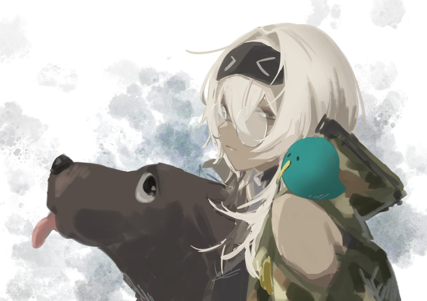 1girl alchemy_stars animal_on_shoulder anui bird bird_on_shoulder brown_dog camouflage camouflage_jacket closed_mouth clothing_cutout commentary_request dark-skinned_female dark_skin dog from_side glasses grey_background grey_eyes highres jacket kafka_(alchemy_stars) long_hair looking_at_viewer looking_to_the_side mask mask_on_head round_eyewear shoulder_cutout sleep_mask solo tongue tongue_out upper_body white_background white_hair