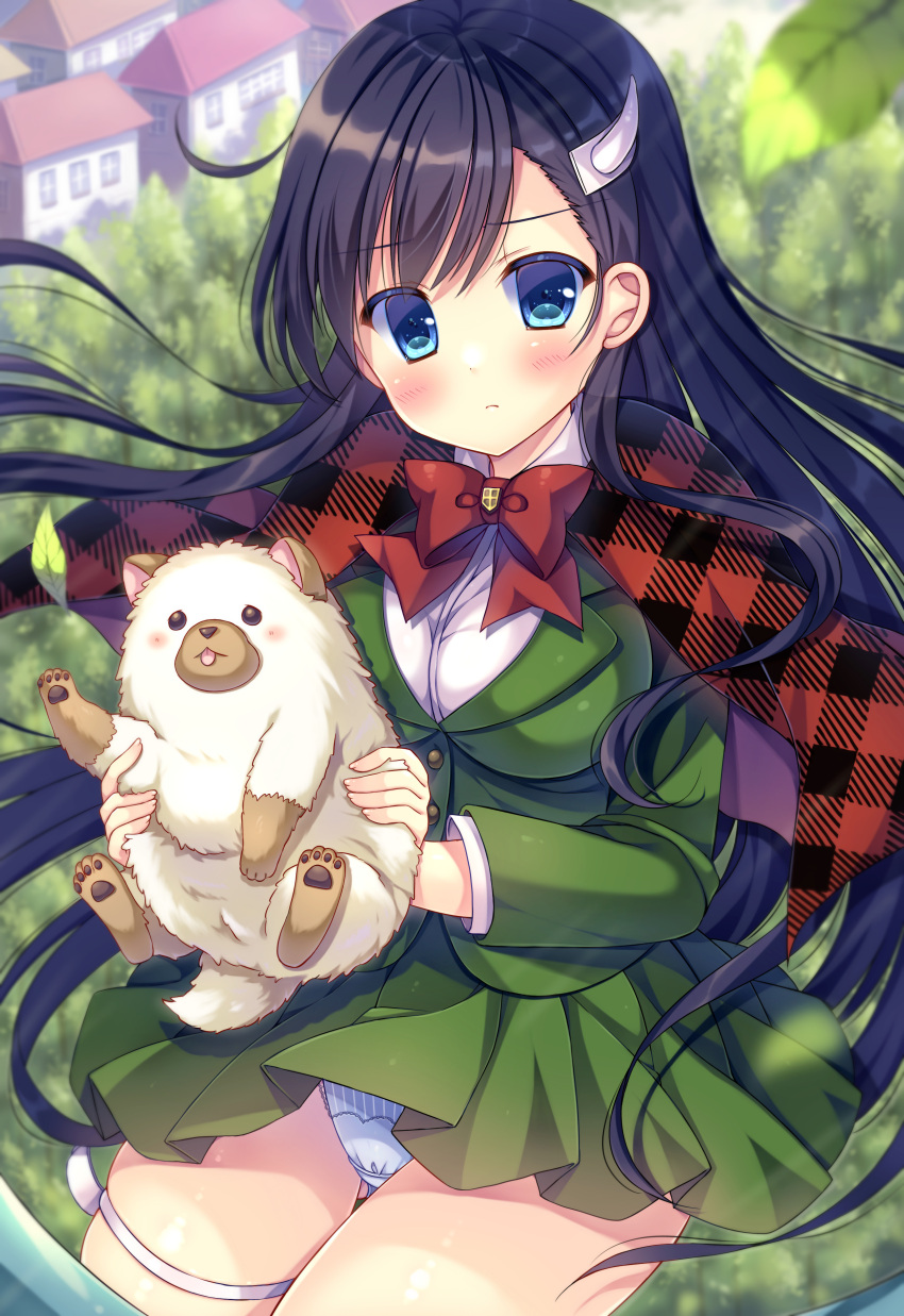1girl absurdres animal ass_visible_through_thighs bangs black_hair blue_eyes blush bow breasts burn_the_witch closed_mouth commentary_request day dog eyebrows_visible_through_hair green_jacket green_skirt highres holding holding_animal jacket kouta. long_hair looking_at_viewer medium_breasts niihashi_noel outdoors panties plaid plaid_scarf pleated_skirt red_bow red_scarf scarf shirt skirt solo underwear very_long_hair white_panties white_shirt