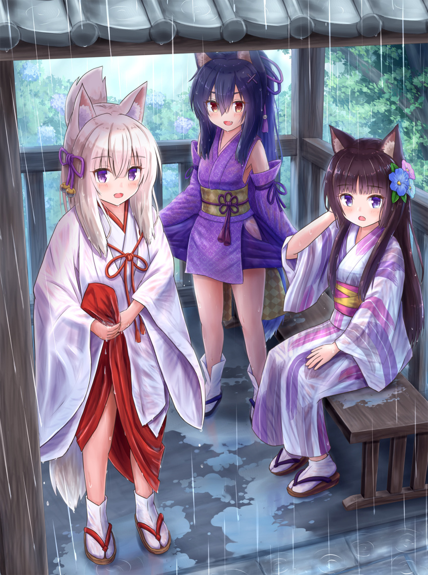 3girls :d animal_ear_fluff animal_ears bangs bare_shoulders bell black_hair blue_eyes blue_flower blush brown_eyes cat_ears commentary_request detached_sleeves eyebrows_visible_through_hair fang flower folded_ponytail fox_ears fox_girl fox_tail hair_between_eyes hair_flower hair_ornament hair_ribbon hakama highres iroha_(iroha_matsurika) japanese_clothes jingle_bell kimono koyoi_(iroha_(iroha_matsurika)) kunoichi-chan_(iroha_(iroha_matsurika)) long_hair long_sleeves miko multiple_girls mutsuki_(iroha_(iroha_matsurika)) obi on_bench open_mouth original outdoors pink_flower purple_kimono purple_ribbon purple_sleeves rain red_hakama ribbon sash sitting sleeveless sleeveless_kimono smile standing tail very_long_hair wet_kimono white_hair white_kimono wide_sleeves wolf_ears wolf_girl wolf_tail yagasuri yukata