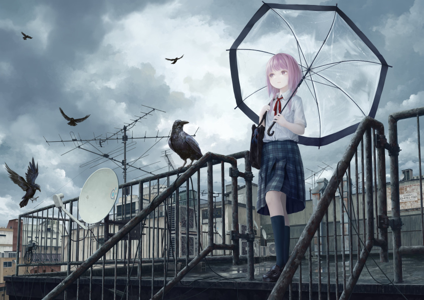 1girl absurdres air_conditioner antenna_hair bag bird braid building clouds cloudy_sky collared_shirt crow expressionless full_body highres kaf_(kamitsubaki_studio) kamitsubaki_studio kneehighs loafers low_twin_braids multicolored multicolored_eyes neck_ribbon overcast pink_hair railing red_ribbon ribbon rooftop satellite_dish school_bag school_uniform shirt shoes shoulder_bag skirt sky transparent transparent_umbrella twin_braids umbrella virtual_youtuber white_shirt winter_parasol yellow_pupils