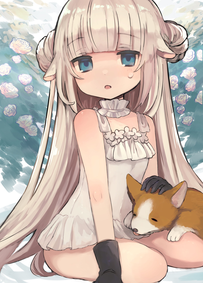 .live absurdres alternate_costume animal_ears blue_eyes dog double_bun flower gloves highres long_hair looking_at_viewer merry_milk moxi1368 open_mouth plant seiza sheep_ears silver_hair sitting sweat swimsuit virtual_youtuber white_background