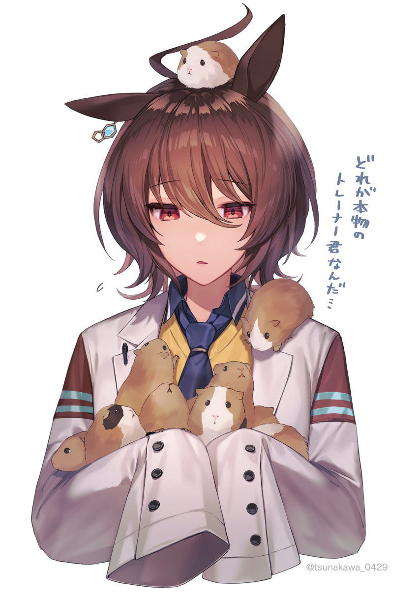 1girl agnes_tachyon_(umamusume) ahoge animal animal_ears animal_on_head animal_on_shoulder bangs blue_neckwear brown_hair collared_shirt commentary_request cropped_torso eyebrows_visible_through_hair guinea_pig hair_between_eyes highres holding holding_animal horse_ears horse_girl labcoat long_sleeves looking_at_animal medium_hair necktie on_head parted_lips red_eyes shirt simple_background sleeves_past_fingers sleeves_past_wrists solo sweater translation_request tsunakawa twitter_username umamusume underwear white_background yellow_sweater