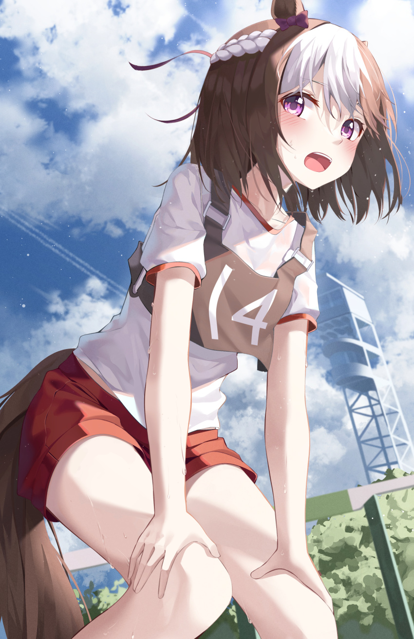 1girl absurdres animal_ears blue_sky blush brown_hair clouds commentary_request day eyebrows_visible_through_hair hands_on_own_thighs highres horse_ears horse_girl horse_tail kanzi looking_to_the_side multicolored_hair open_mouth outdoors red_shorts short_hair shorts sky solo special_week_(umamusume) standing streaked_hair sweat tail thighs umamusume violet_eyes white_hair