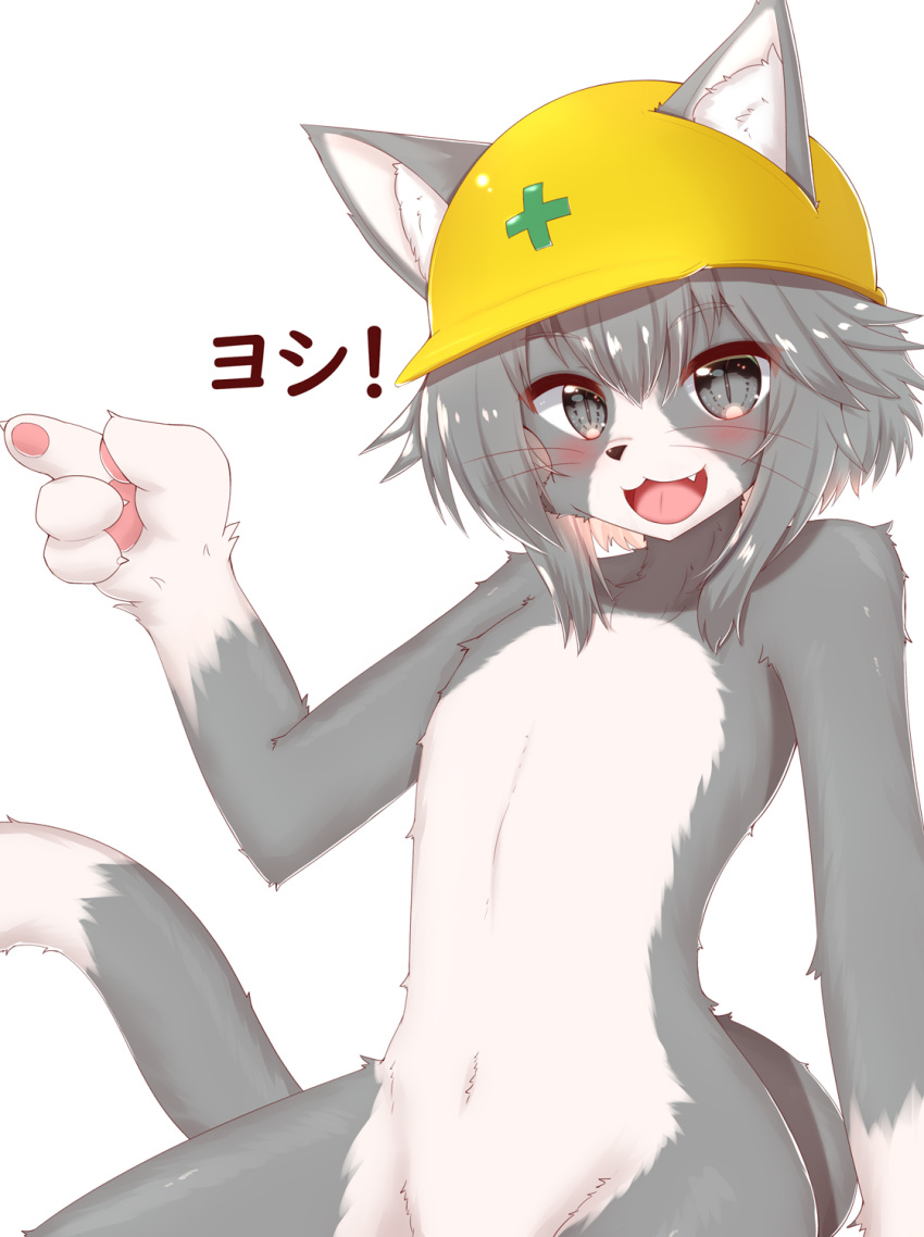 1other animal_ear_fluff animal_ears blush cat_ears cat_nose cat_tail commentary eyebrows_visible_through_hair fang fewer_digits flat_chest furry genba_neko grey_eyes grey_fur grey_hair hair_between_eyes hardhat helmet highres horokusa_(korai) looking_at_viewer medium_hair nude open_mouth original out-of-frame_censoring sidelocks simple_background slit_pupils solo tail two-tone_fur upper_body whiskers white_background white_fur