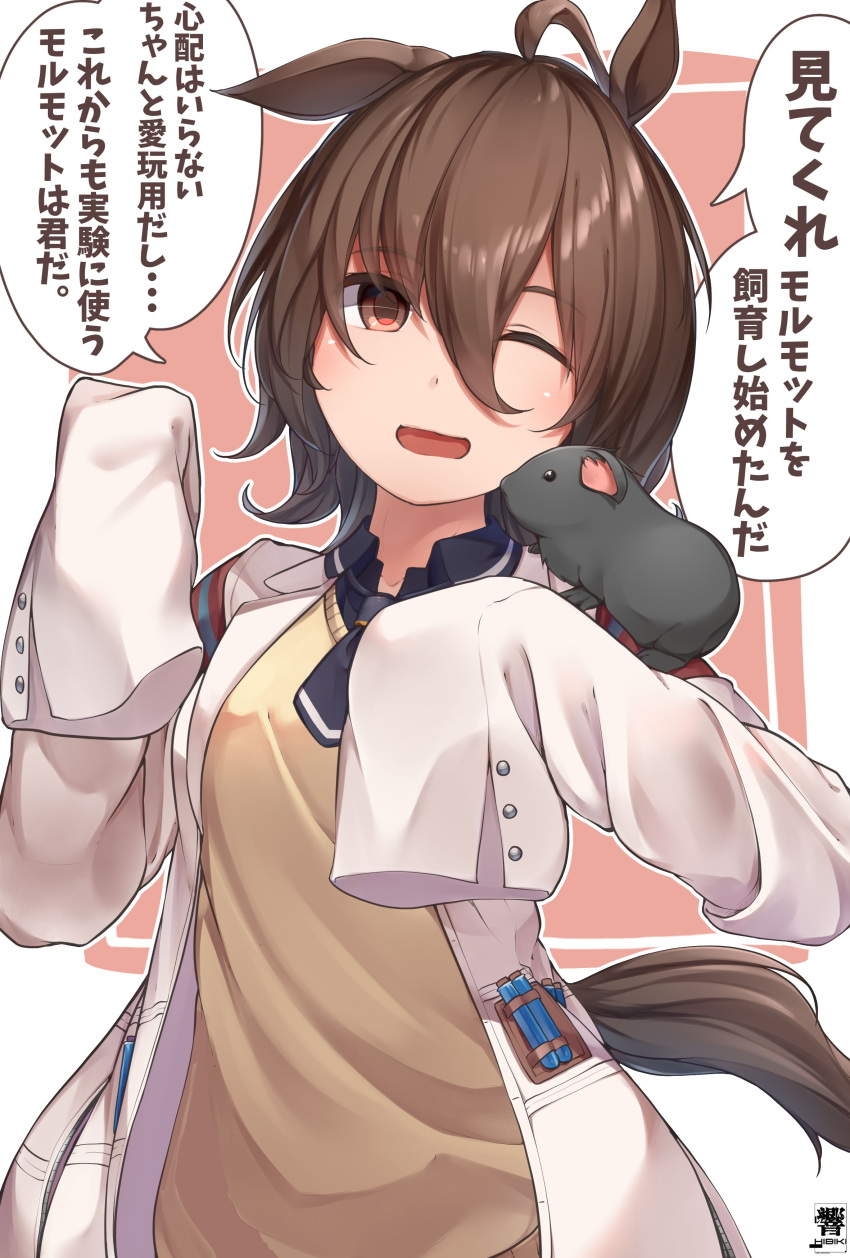 1girl absurdres agnes_tachyon_(umamusume) animal_ears brown_hair commentary eyebrows_visible_through_hair eyes_visible_through_hair guinea_pig hair_between_eyes hibiki_(zerocodo) highres horse_ears horse_girl horse_tail labcoat one_eye_closed sleeves_past_wrists sweater_vest tail test_tube translated umamusume