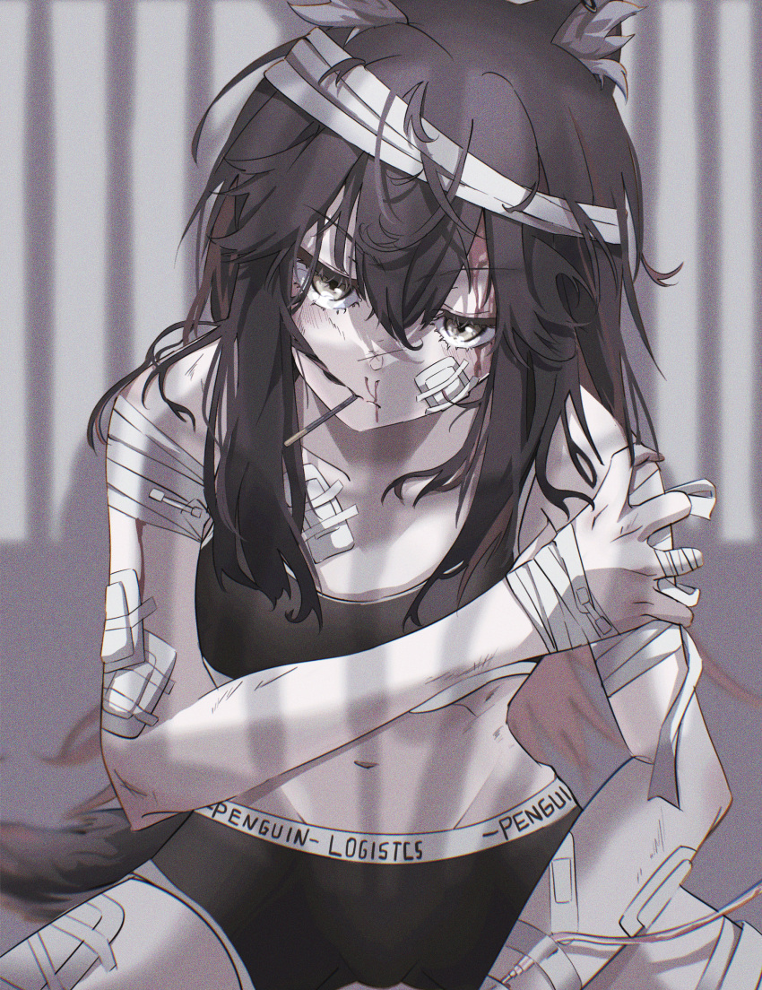1girl absurdres animal_ear_fluff animal_ears arknights bandages bandaid bandaid_on_face bangs bare_shoulders black_hair black_shorts blood blood_on_face breasts brown_eyes commentary_request cowboy_shot crop_top ear_piercing food highres huge_filesize jacket kogoe_(alphabetgir1s) long_hair long_sleeves medium_breasts midriff mouth_hold navel nosebleed off_shoulder open_clothes open_jacket paper piercing pocky shorts sidelocks sitting solo sports_bra stomach tail texas_(arknights) very_long_hair wolf_ears wolf_tail